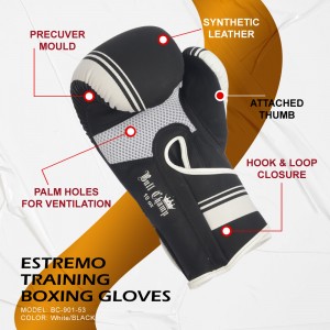 Estremo Training Boxing Gloves