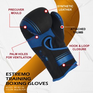 Estremo Training Boxing Gloves
