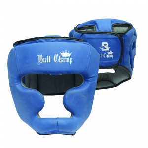 Head Guards