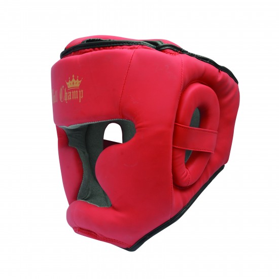 Head Guards