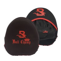 Focus Mitts / Mini Targets