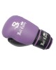 Apex Sparring Boxing Gloves Apex Sparring Boxing Gloves