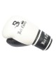 Apex Sparring Boxing Gloves Apex Sparring Boxing Gloves