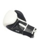 Apex Sparring Boxing Gloves Apex Sparring Boxing Gloves